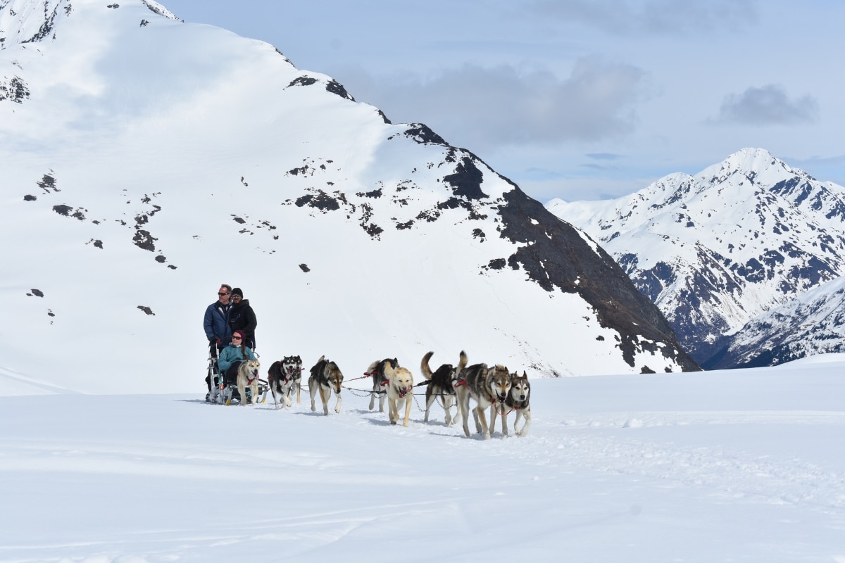 5 Reasons to Go Dog Sledding on a Glacier During Your Trip to Alaska