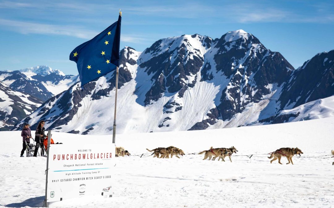 Winter vs. Summer Dog Sledding: Which Time of Year Is Best?