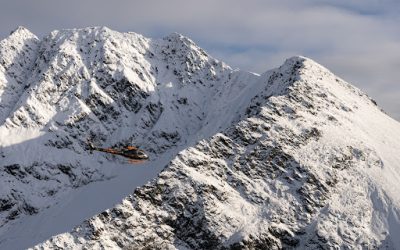 Alaskan Wilderness: 4 Crucial Considerations for Hiring Charter Services