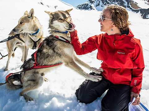 Alpine Air Alaska, Helicopter Tours, Girdwood, Alaska, Sightseeing, Petting Husky Sled Dog