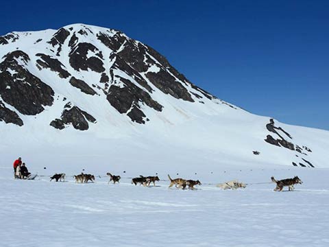 Alpine Air Alaska, Helicopter Tours, Girdwood, Valdez, Alaska, Sightseeing, Flightseeing, Special Events & Weddings