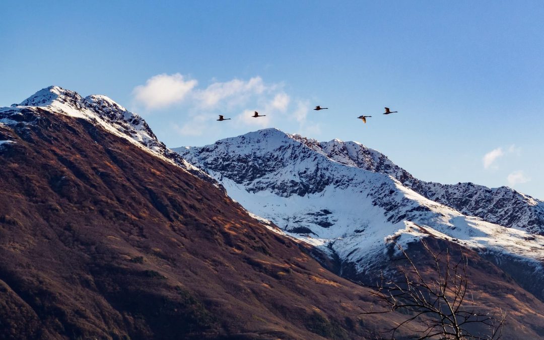 Anchorage to Girdwood: The Ultimate Alaskan Winter Getaway