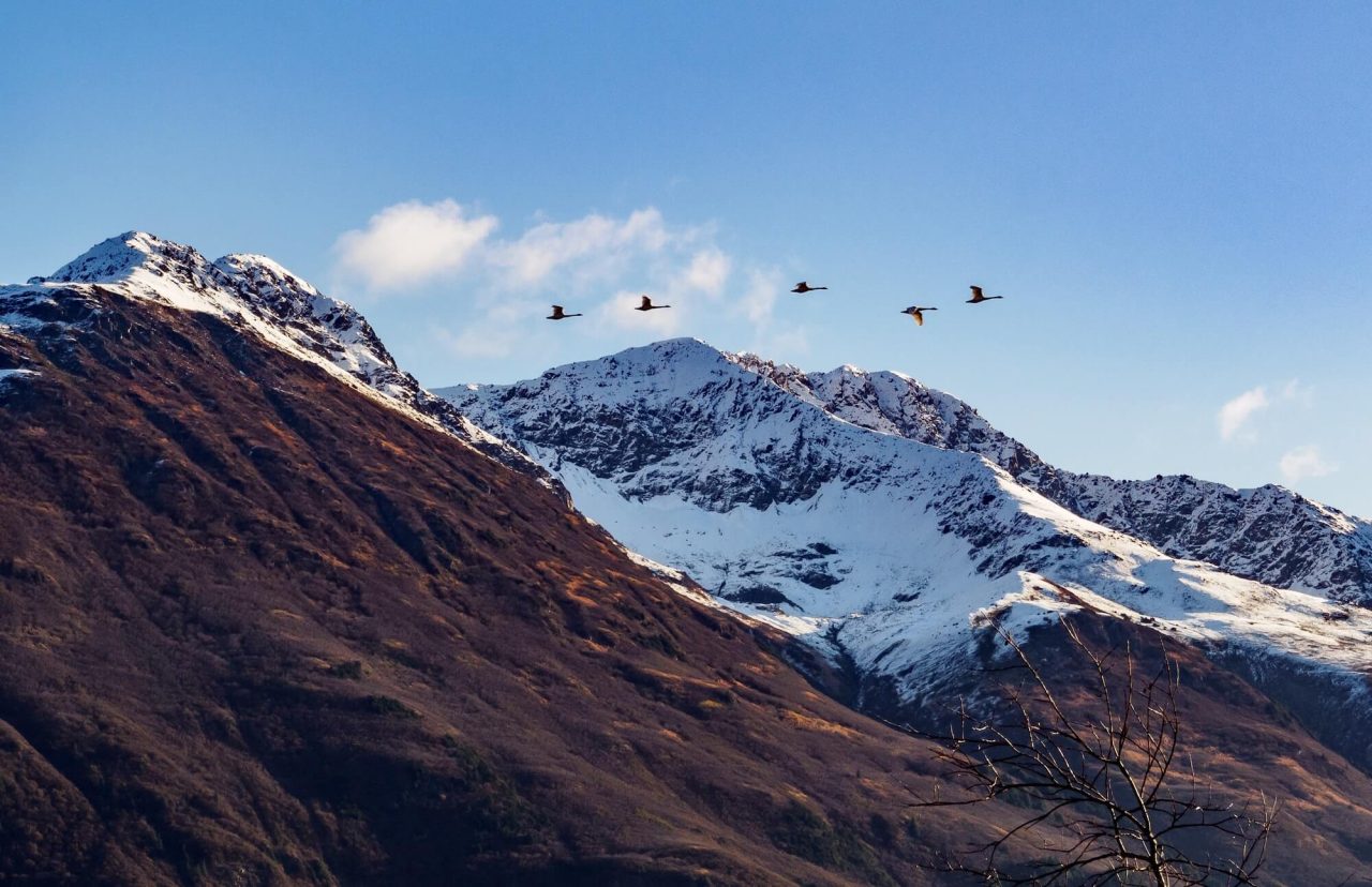 anchorage-to-girdwood-the-ultimate-alaskan-winter-getaway-alpine-air