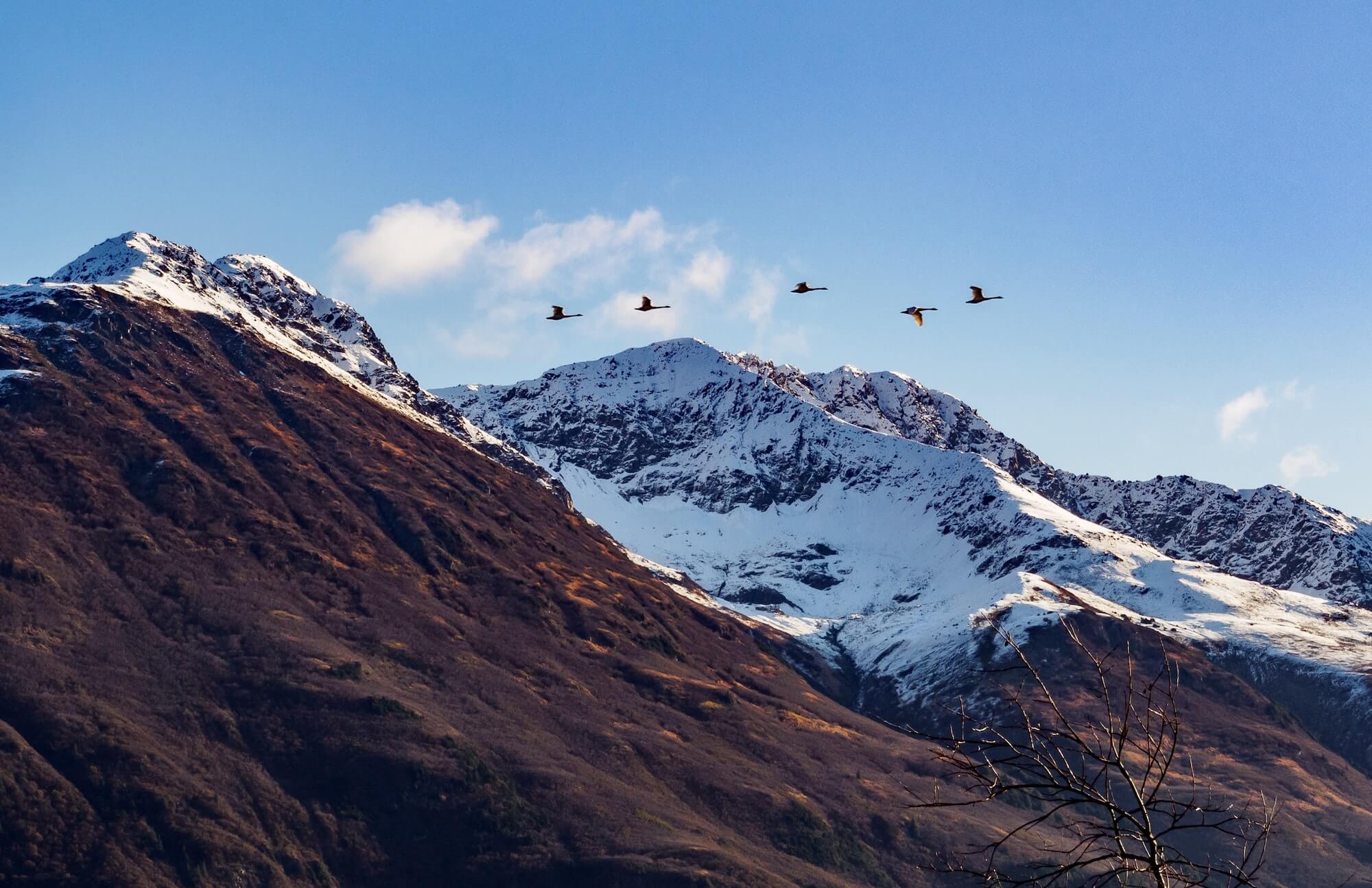 Alpine Air Alaska, Helicopter Tours, Girdwood, Valdez, Alaska, Sightseeing, Flightseeing