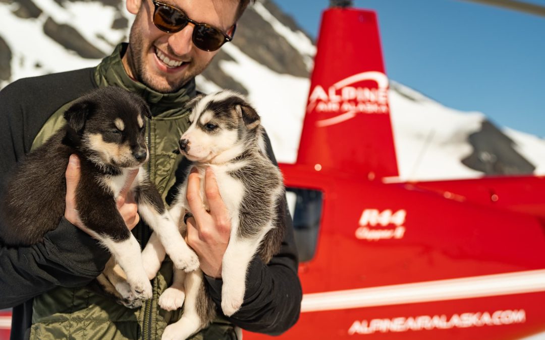 The Ultimate Alaska Summer Tour: The Best of the Best